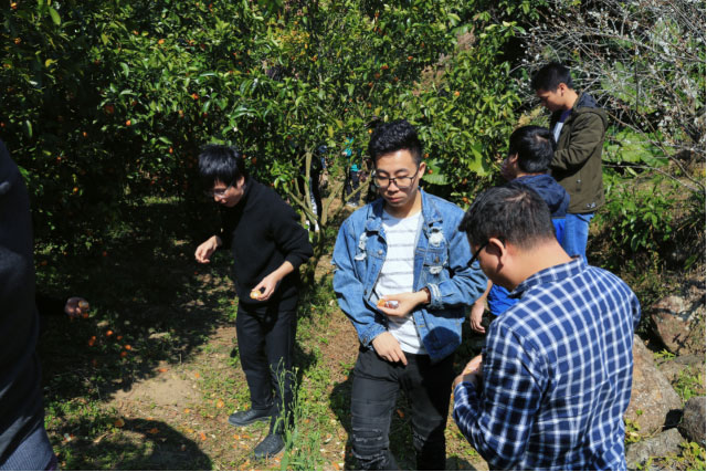 28圈-28圈官方网站-相信品牌的力量